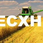 Декларация по ЕСХН (единый сельскохозяйственный налог)