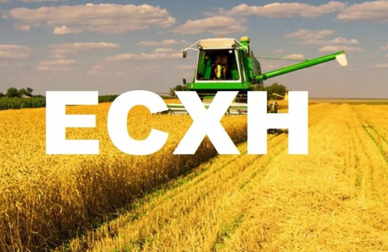 Декларация по ЕСХН (единый сельскохозяйственный налог)
